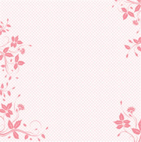 Slice Specialty paper Acetate pink border